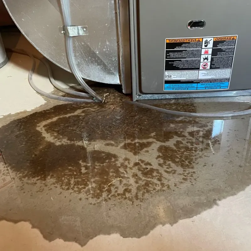 Pipe Burst and Leak Restoration in Swannanoa, NC